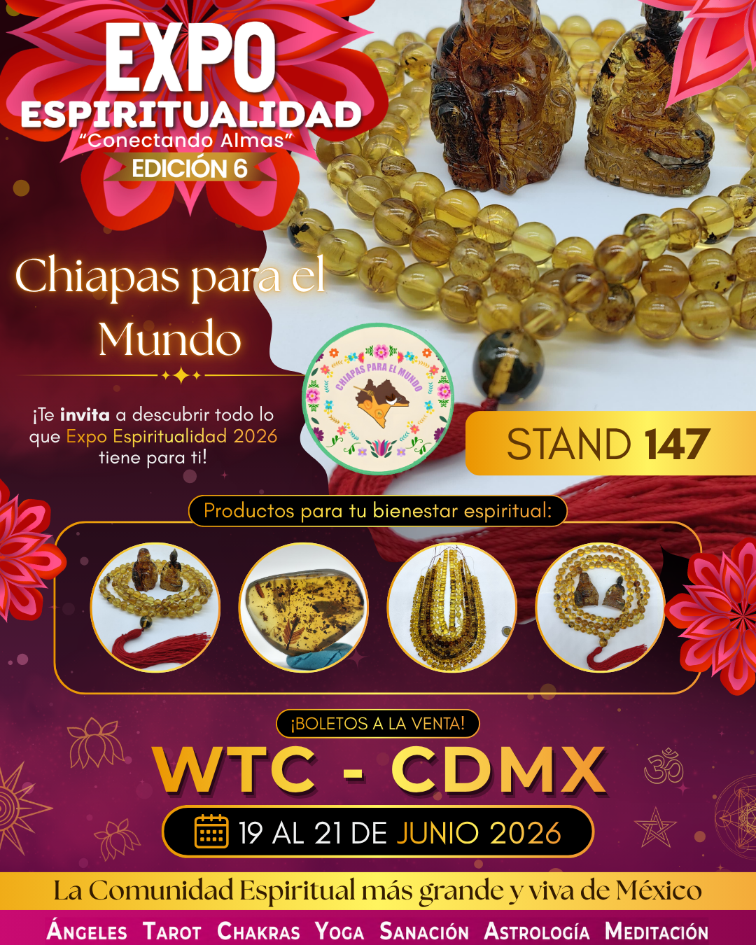 Chiapas para el mundo