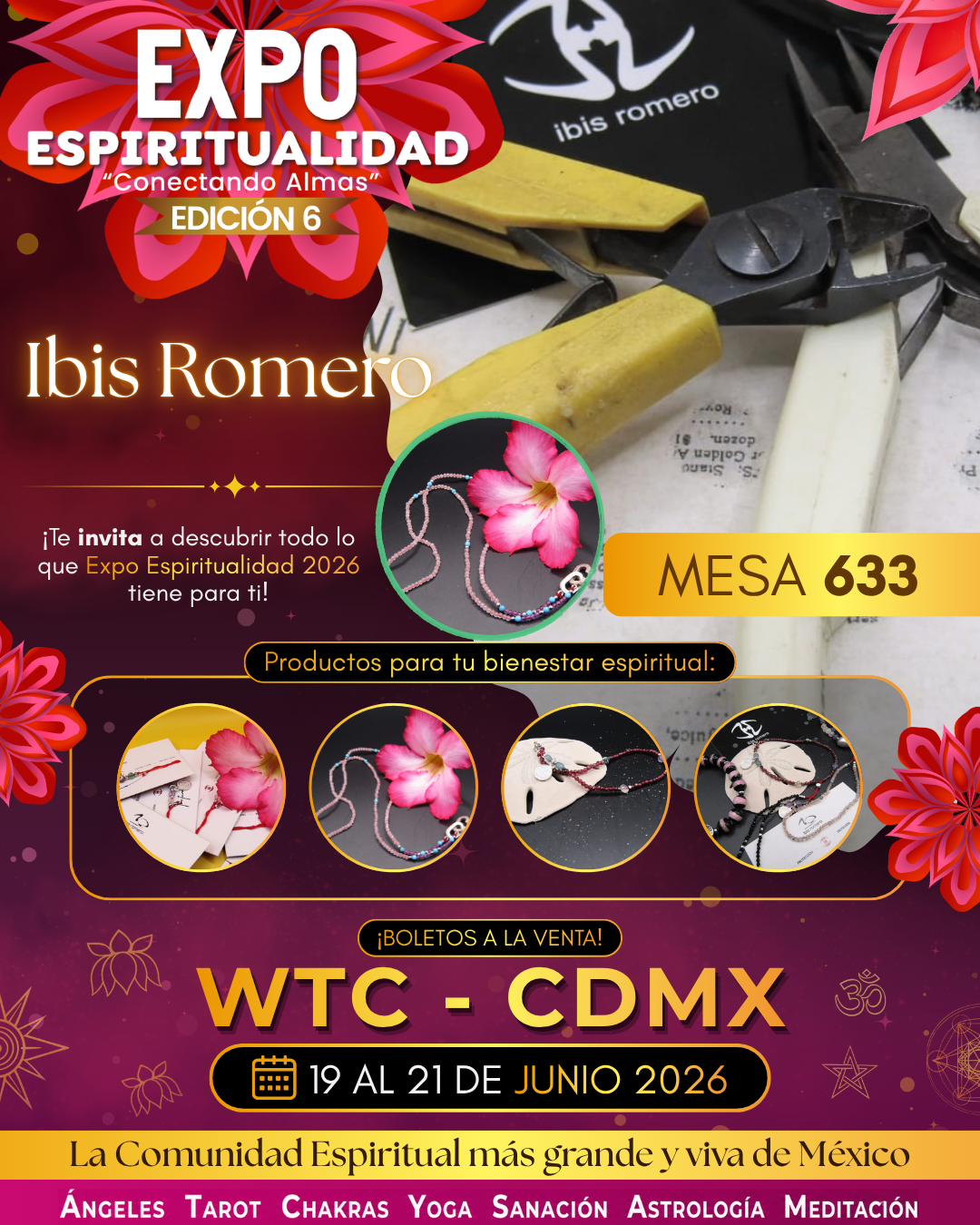 Ibis romero