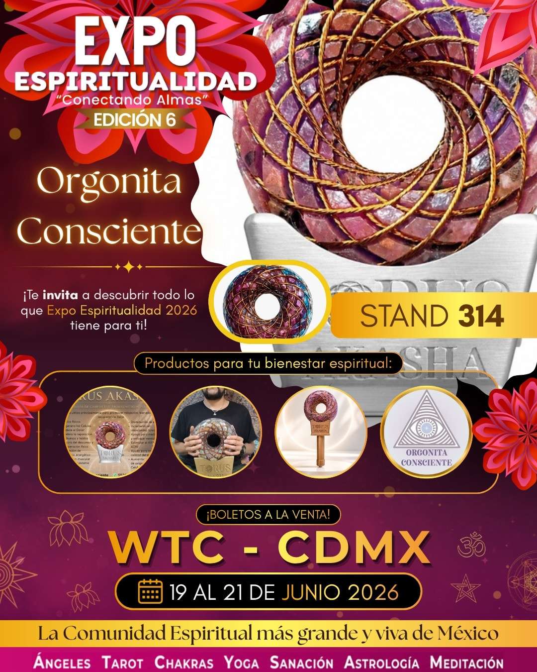 ORGONITA CONSCIENTE-TORUS AKASHA
