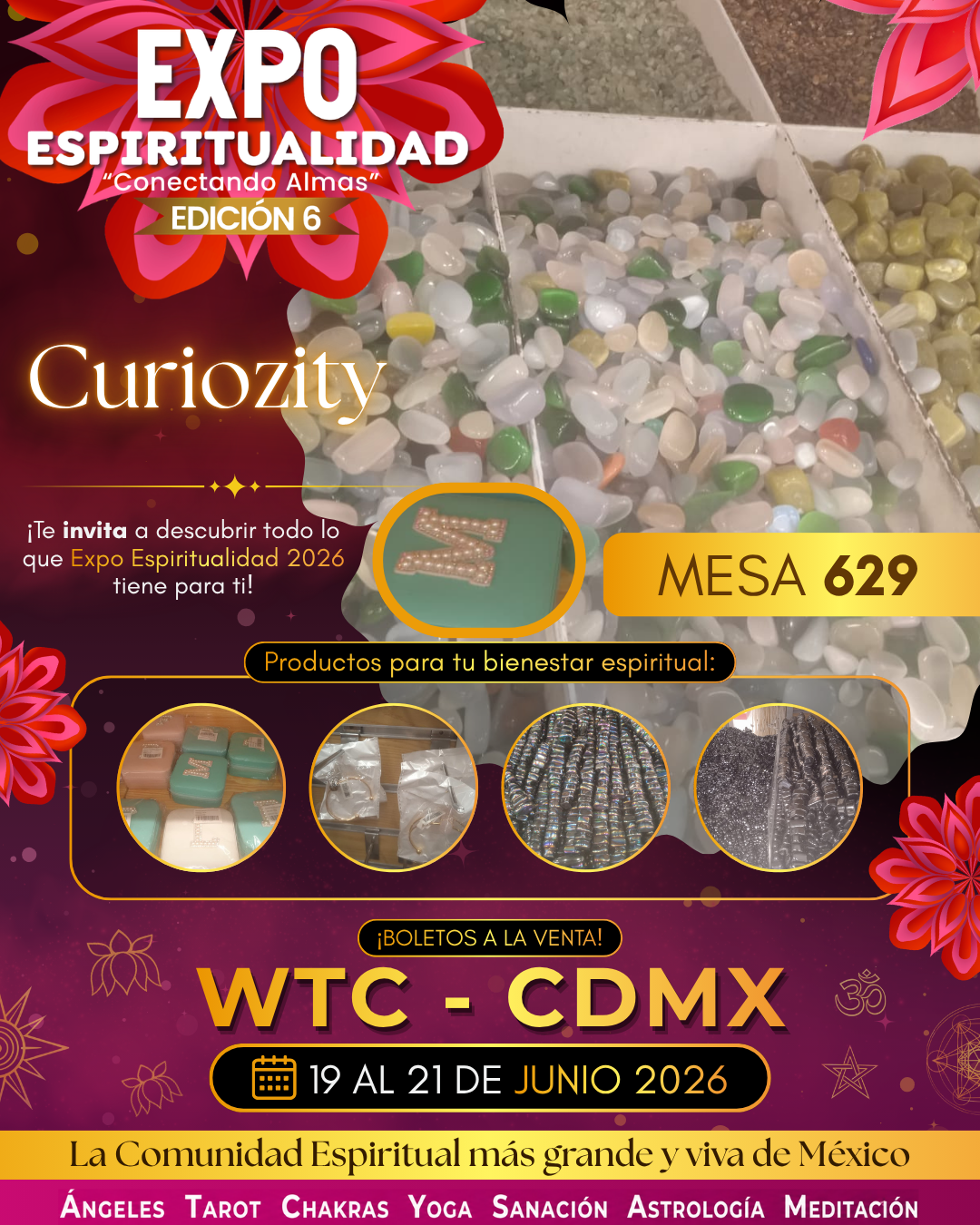 Curiozity ( accesorios)